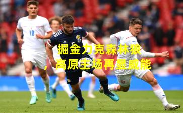 掘金力克森林狼,高原主场再显威能