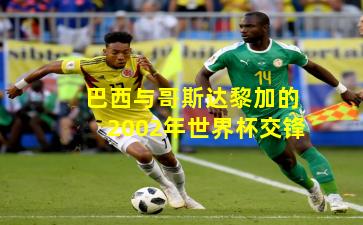 巴西与哥斯达黎加的2002年世界杯交锋