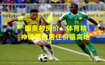 国奥村房价：体育精神铸就的居住价值高地