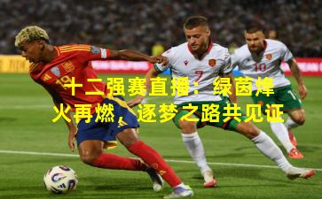 十二强赛直播:绿茵烽火再燃,逐梦之路共见证