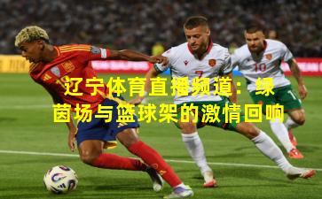 辽宁体育直播频道:绿茵场与篮球架的激情回响