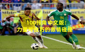 100摔角中文版：力量与技巧的激情碰撞