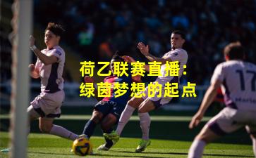 荷乙联赛直播：绿茵梦想的起点
