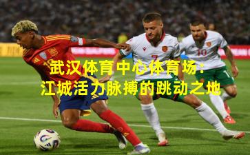 武汉体育中心体育场：江城活力脉搏的跳动之地